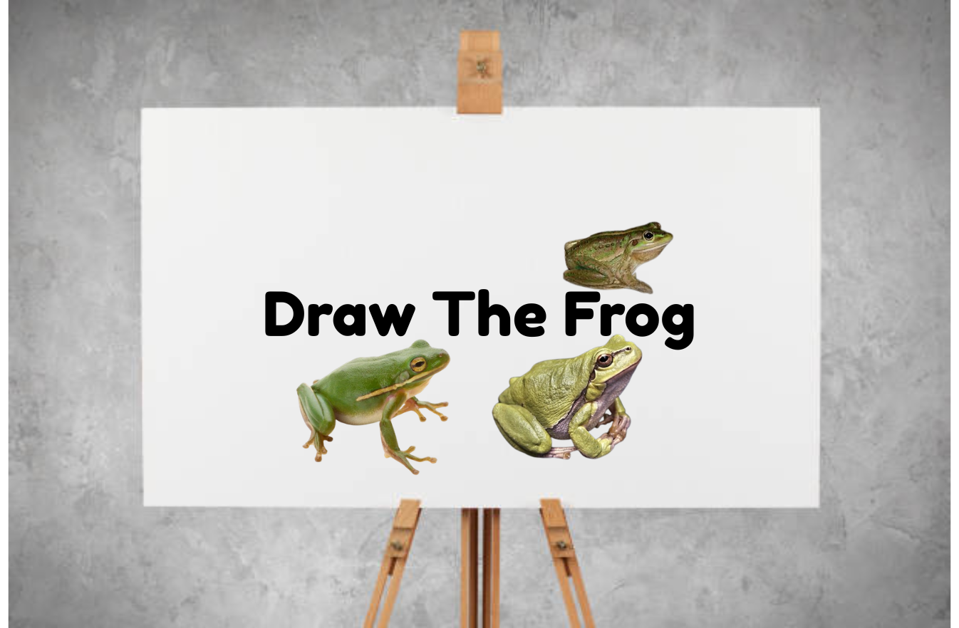 Draw The Frog